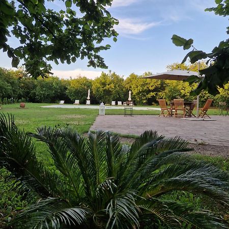 Agriturismo Terre Di Nelio Vignanello Екстер'єр фото